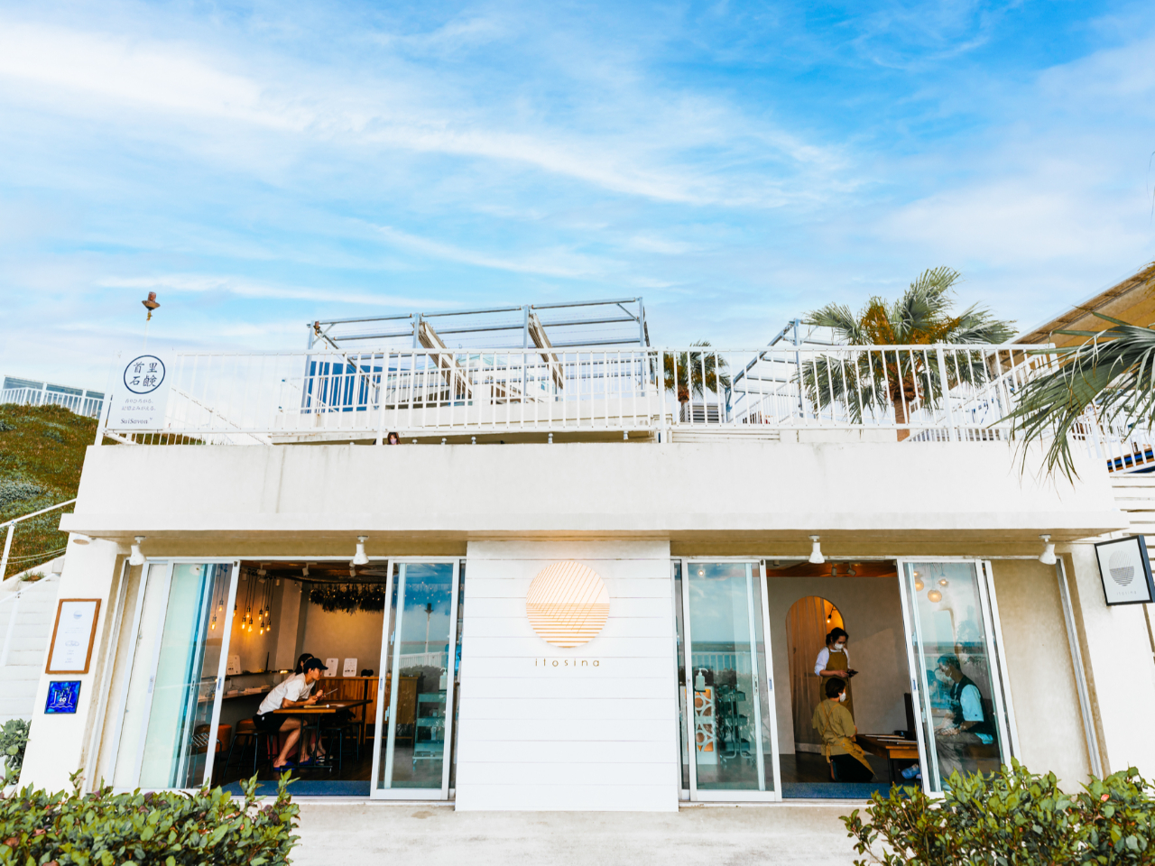 ߔe`Ԃł̃E~JWeXɂÂwւ̂Xł