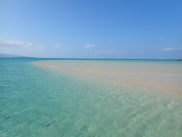 小浜島発 小浜島の海を満喫 午前チャーター マリンレジャー皇 じゃらん遊び体験 小浜島発 小浜島の海を満喫 午前チャーター マリンレジャー皇 じゃらん遊び体験