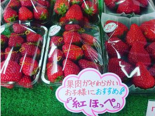 八千代市 いちご狩り コロナ対策でハウス1棟1組貸切 30分食べ放題 笑顔溢れるいちご園でいちご狩り さっちゃんのいちご園 じゃらん遊び体験 八千代市 いちご狩り コロナ対策でハウス1棟1組貸切 30分食べ放題 笑顔溢れるいちご園でいちご狩り さっちゃんのいちご園 じゃらん遊び体験