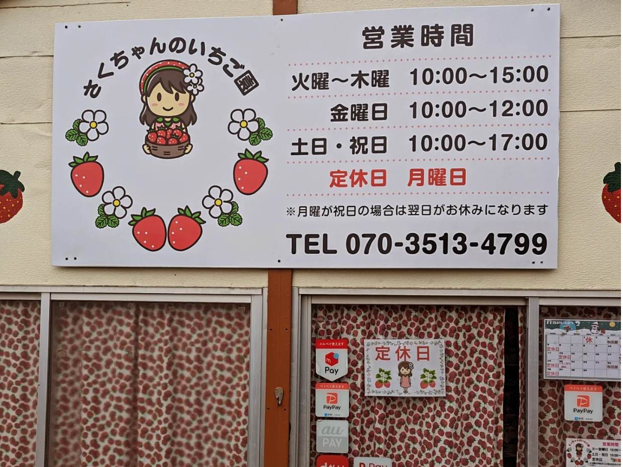 八千代市・いちご狩り】高設栽培いちご狩り30分食べ放題☆小さな直売所