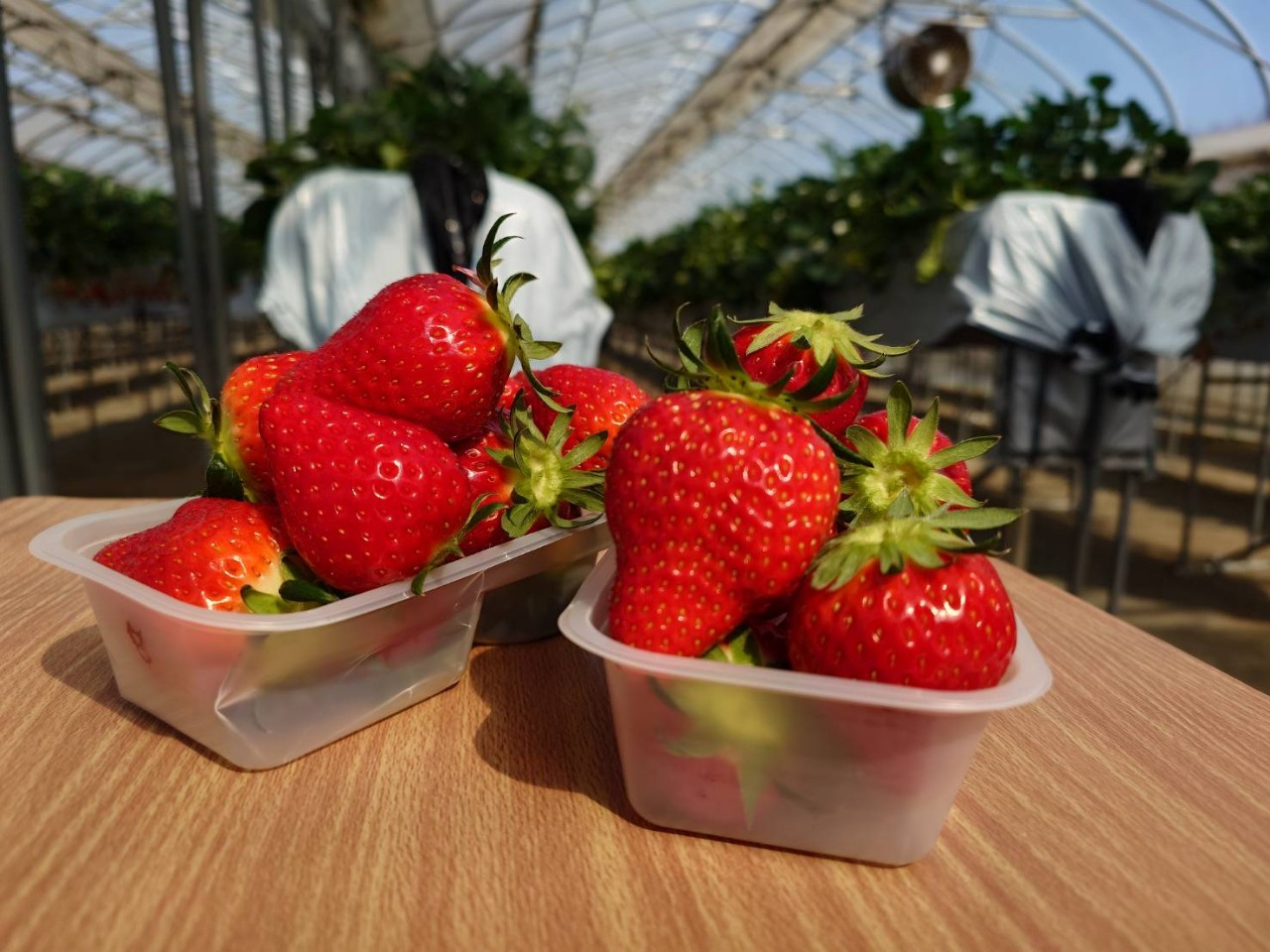 Ƃł悤ɁAƃx`pӂĂ܂B