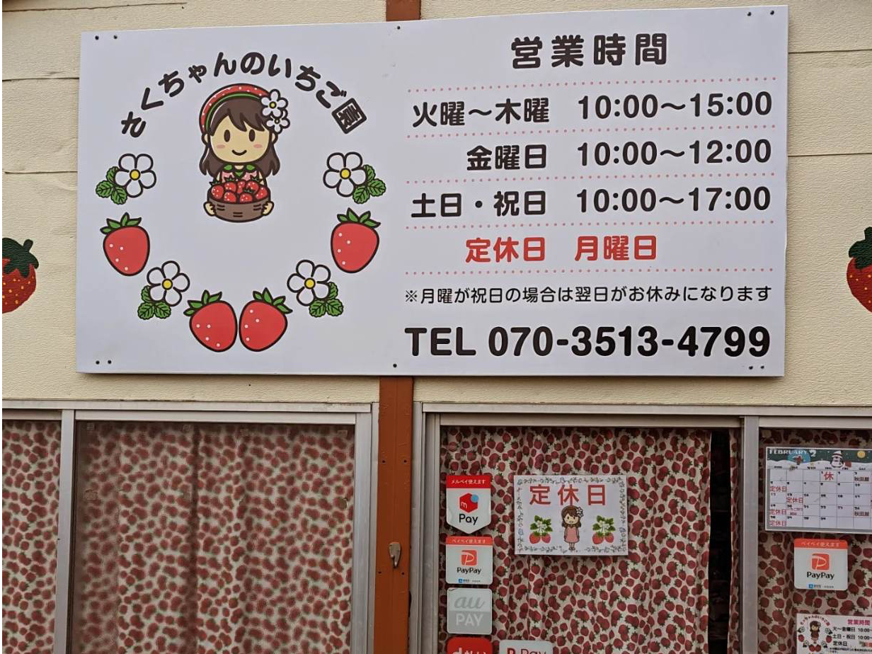 八千代市・いちご狩り】高設栽培いちご狩り30分食べ放題♪小さな直売所