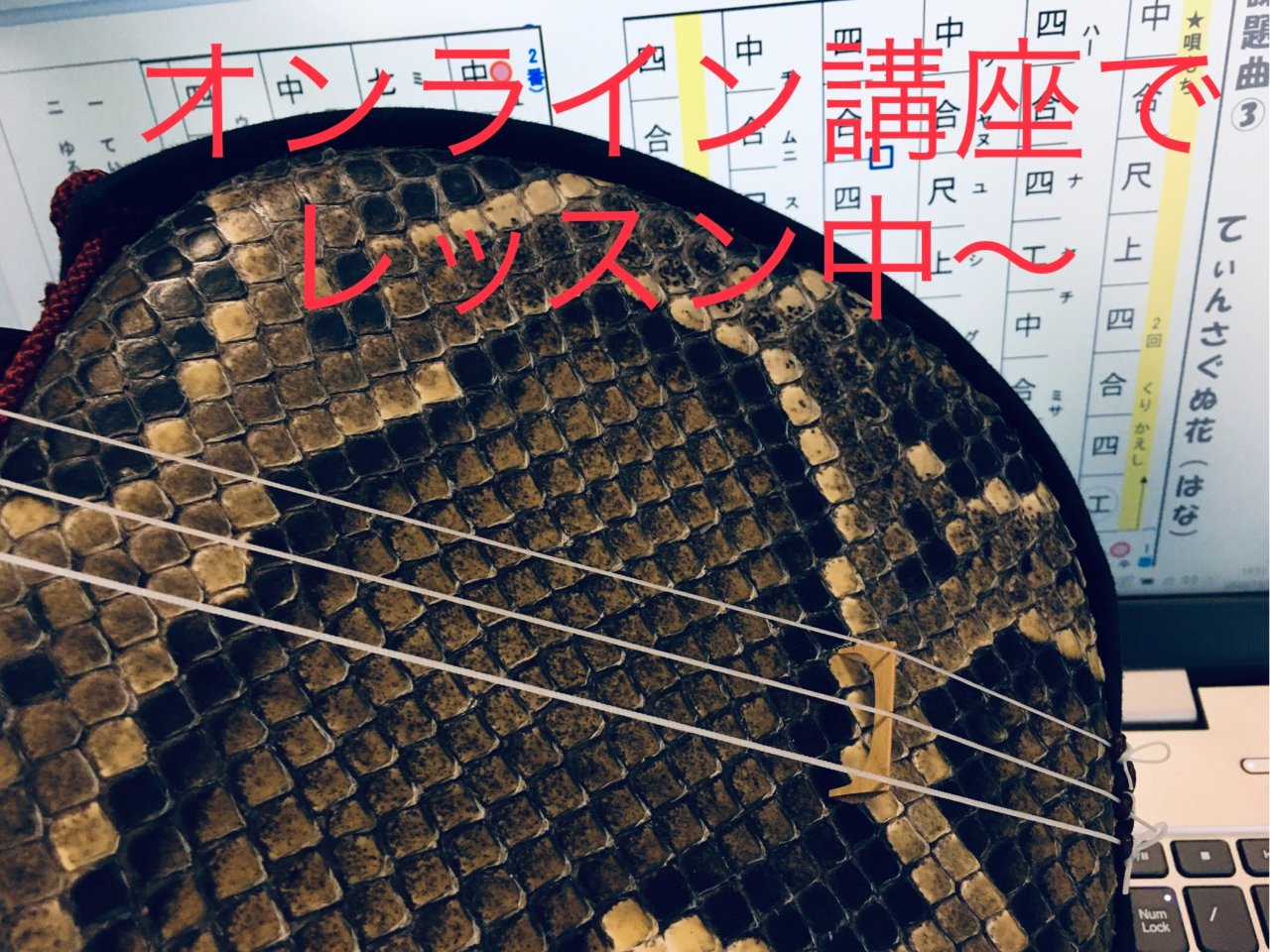 三線【趣味を増やしたい人におすすめ】 Amazon.co.jp ほしい物ランキング: 三線 で、ほしい物リストと