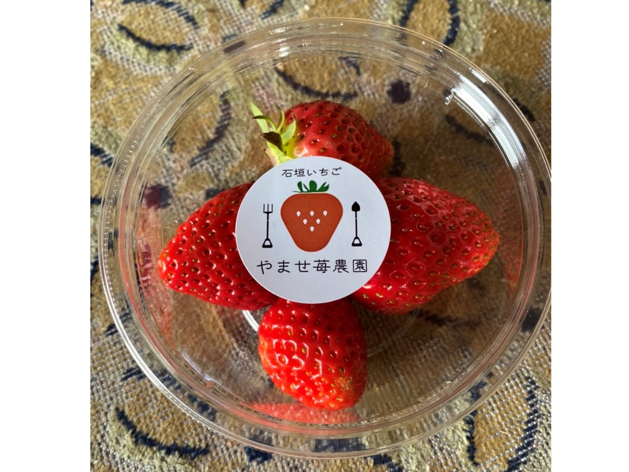 【清水/いちご狩り60分】【3/1~4/5】静岡限定栽培『きらぴか』『章姫』や『...