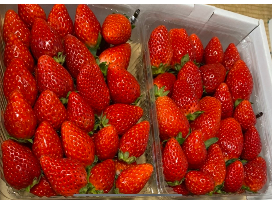 C`ŚwЂ߁xɁwgق؁x܂BÂđ傫䕂pӂĂ܂I