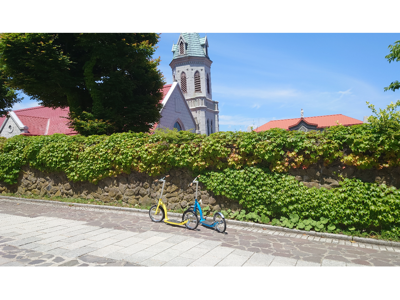 _̌ꂽԂ悭gIJbv⏗qAANeBuȈlɂ߁GRłȈړiy^