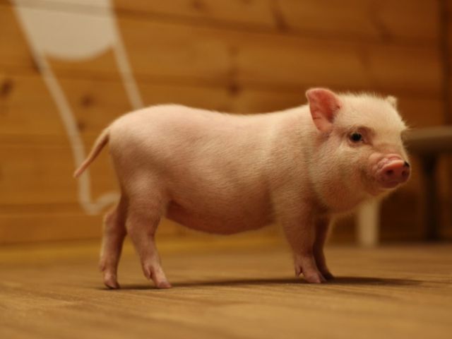 ラウンジのお席でゆっくり眺めたり♪