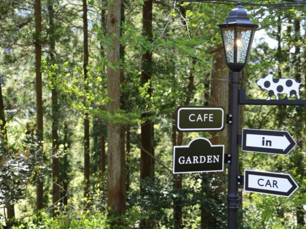  ؁X̗΁An̍Â炬B ܂ŐXїĂ邩̂悤ȉ₩ȊŁAXgXȂSĈpig񂽂ƁA҂Ă܂