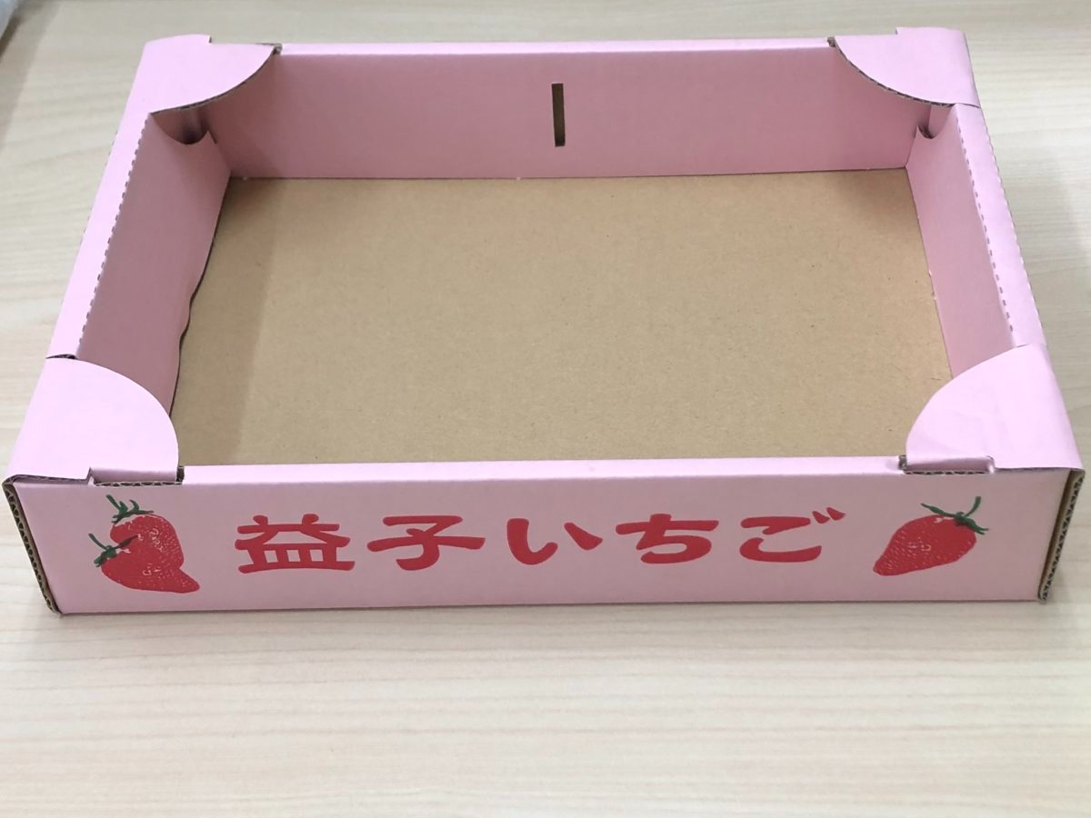 いちご王国栃木県益子町「いちご狩り食べ放題＆一箱詰め放題」限定