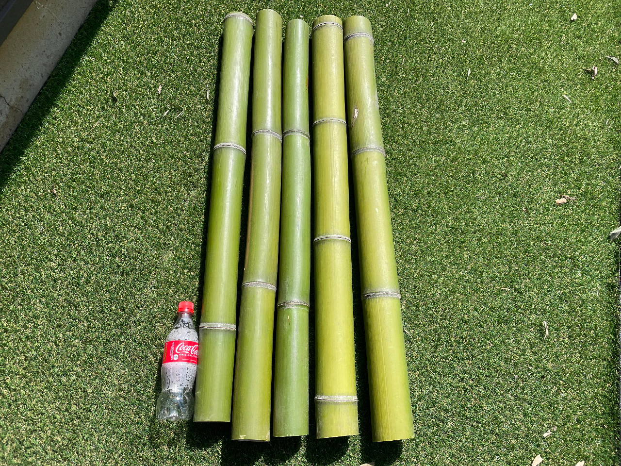 七夕や流しそうめんにも Diyにも使える 竹 の収穫体験 自然体験 上尾 なごみ園 森田 じゃらん遊び体験