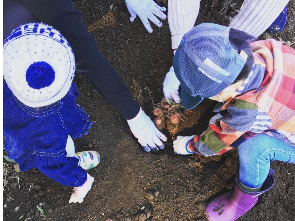 小さなお子様にも楽しんで頂けます!