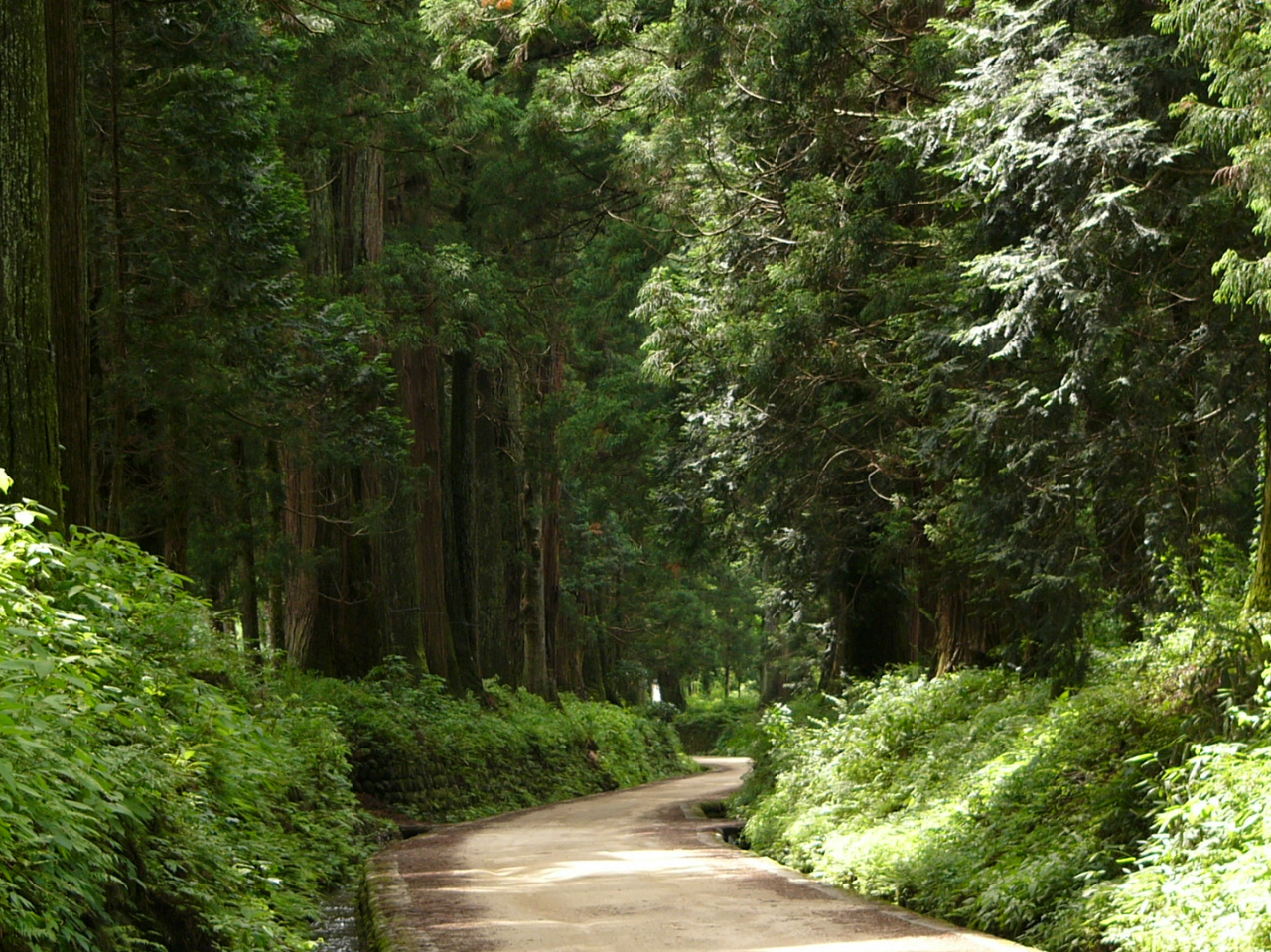 日光杉並木街道は「世界一長い並木道」としてギネスブックに認定登録されています。堂々とした佇まいに歴史を感じさせてくれる雰囲気が漂い、散策にぴったり。