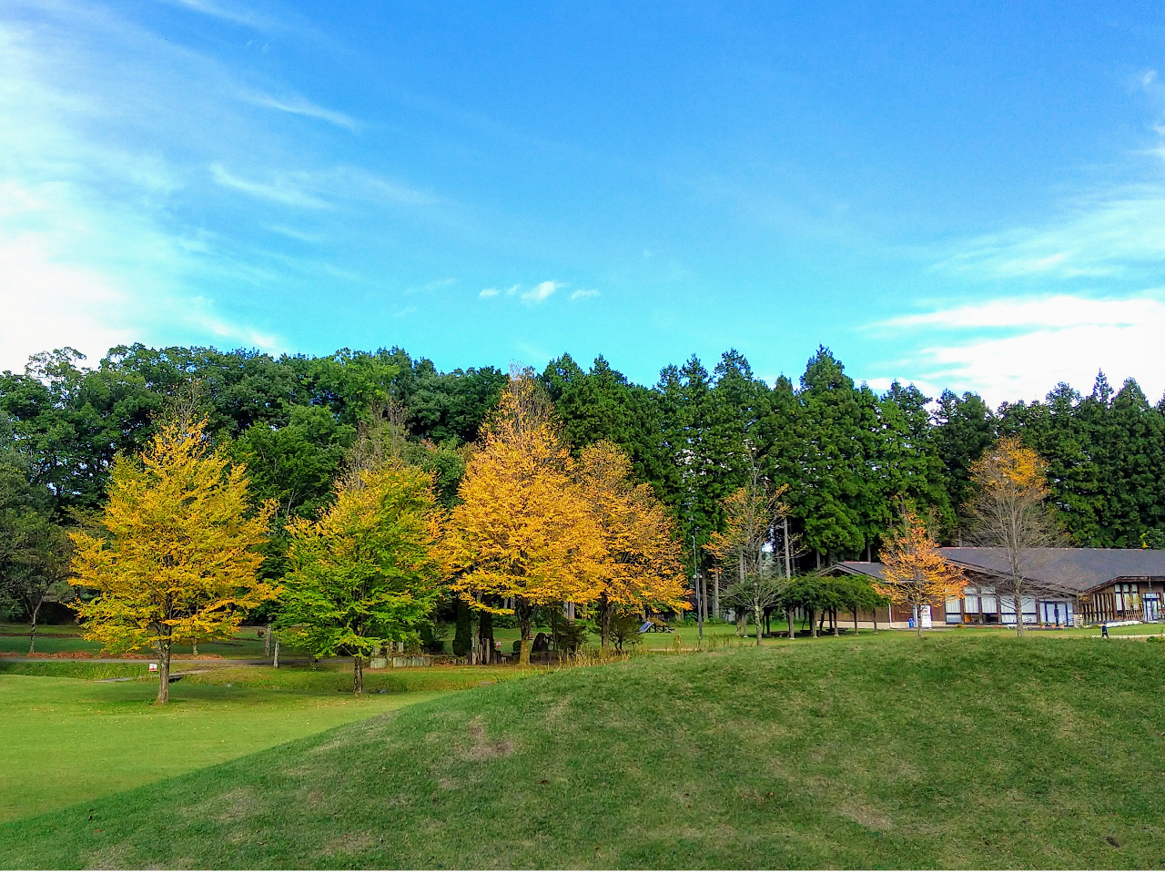 日光だいや川公園は広大な敷地を有する県営公園で、季節ごとに自然や植物をお楽しみいただけます。桜と紅葉はとりわけ美しく、一日中遊べますよ。