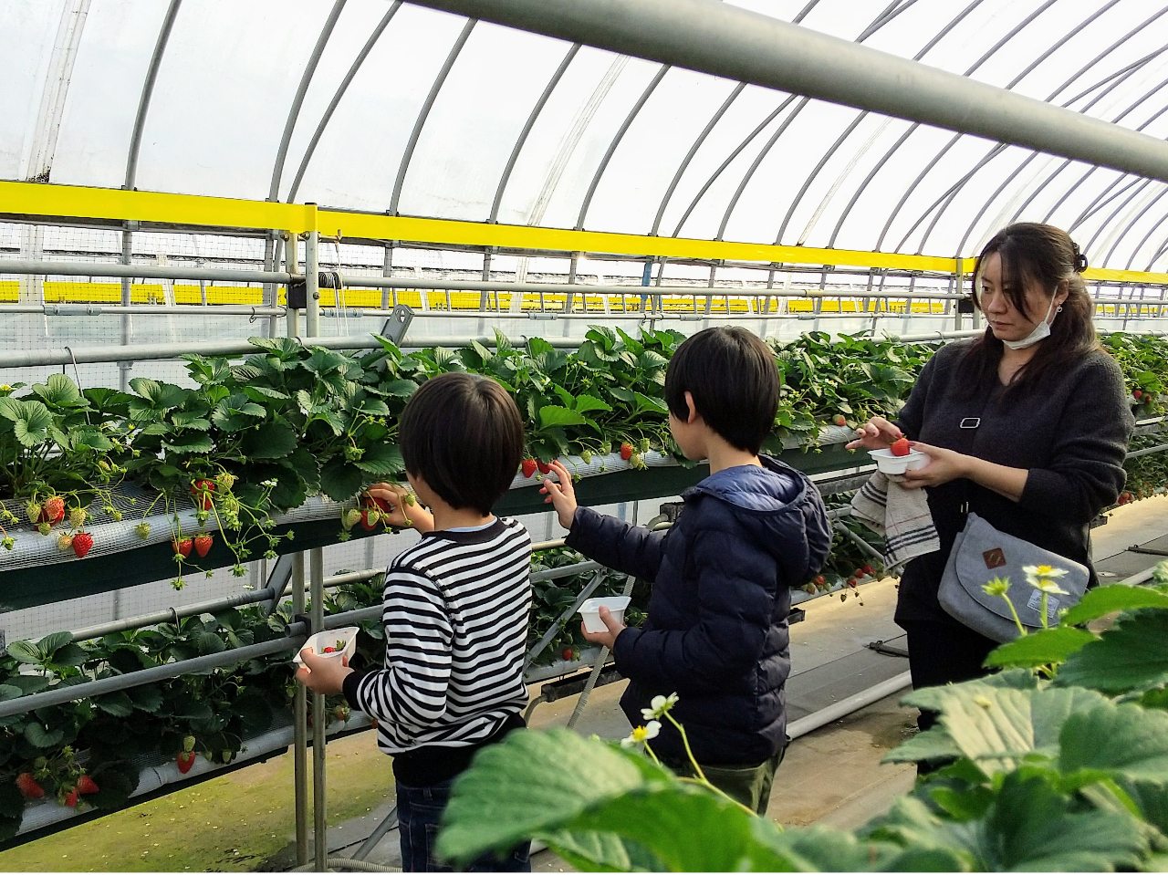 Ȗ،͂̐YʂTONȏA{̂łBsɂ̌ł{݂Ảw̓^TCNŖ20B