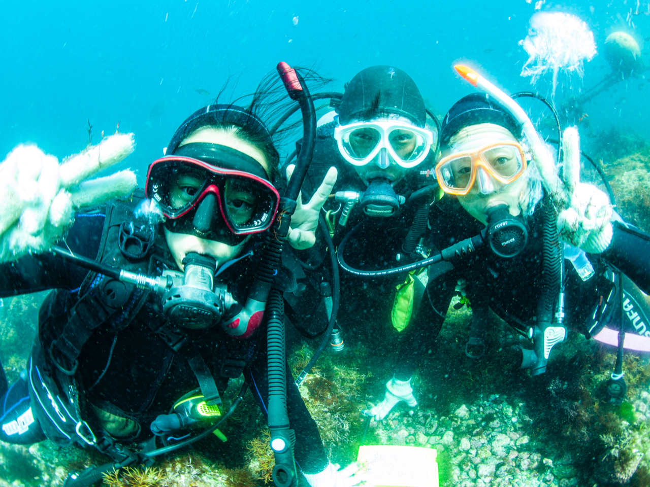 ΂T|[gňSIeqł̂Q劽}I