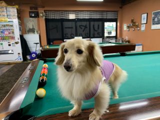 お気軽にどうぞ