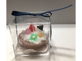 �A�g���GHANA�̎ʐ^2