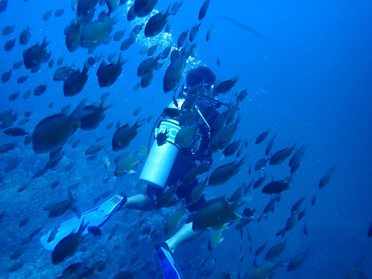 CZX擾͗lXȊCŃ_CrO邱Ƃ\łB