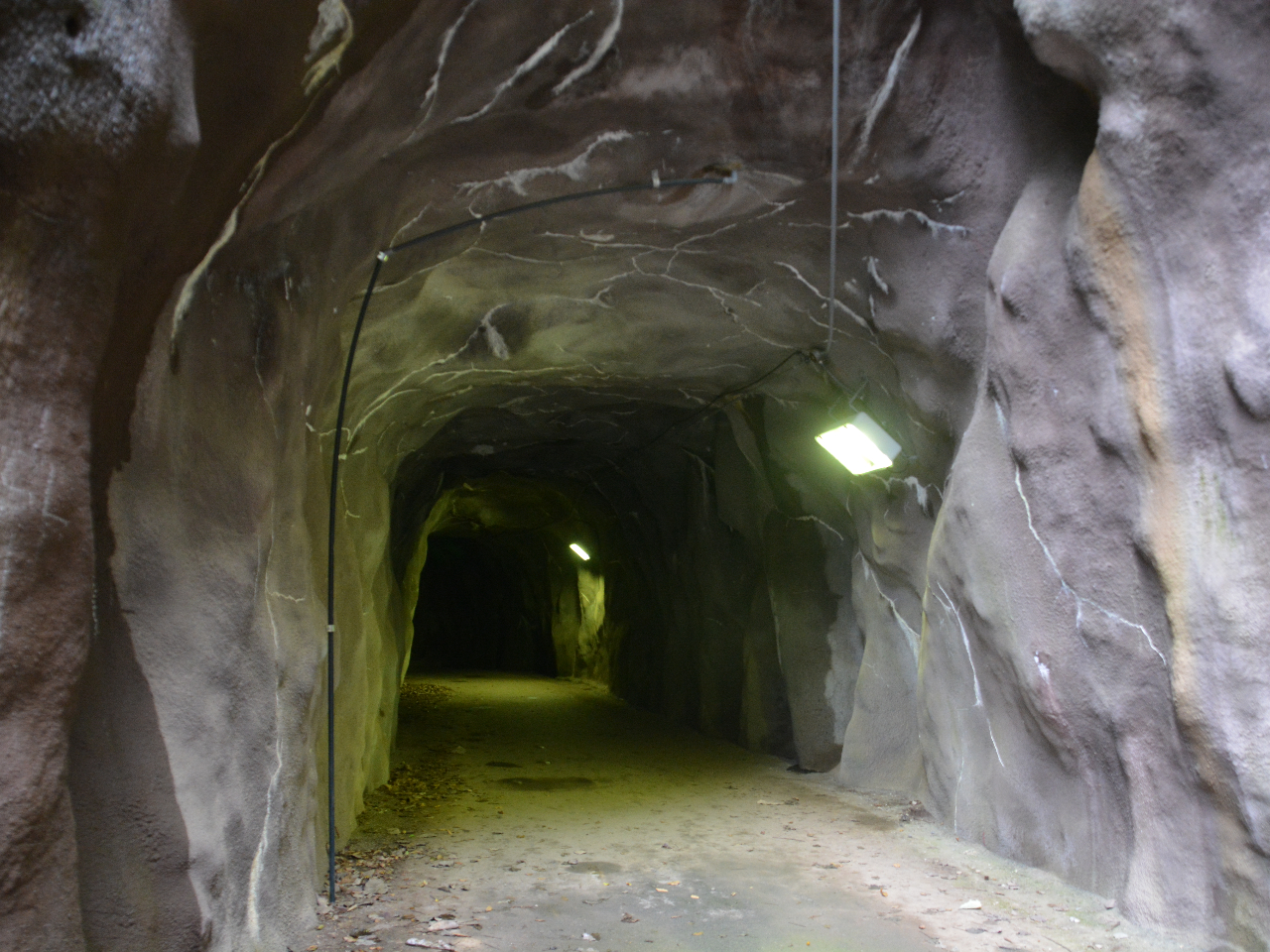 大吊橋を渡った先には手掘りのトンネルが・・!