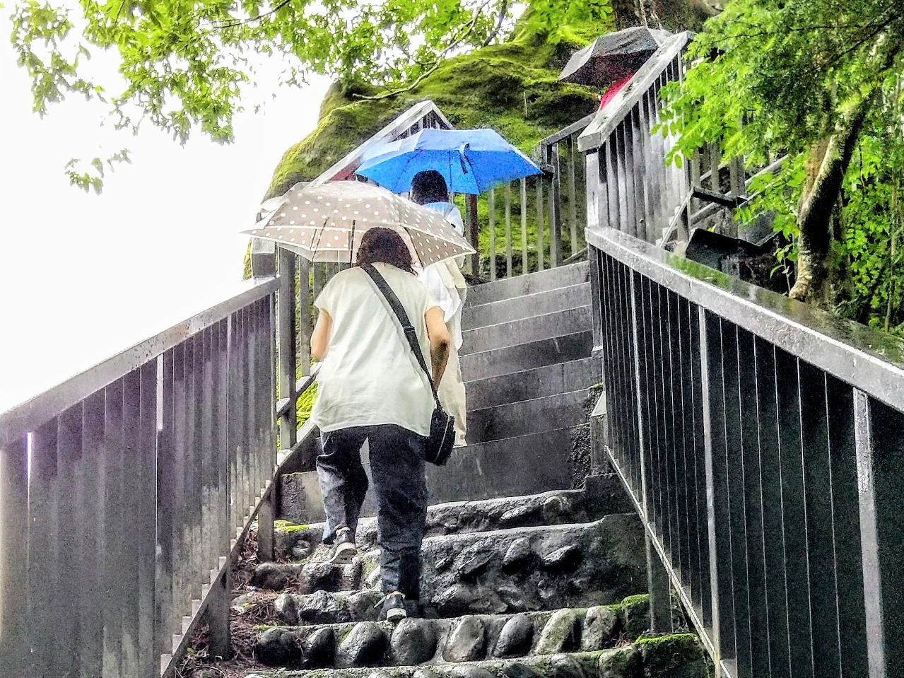 展望台まで階段は138段。ゆっくり上がりましょう。