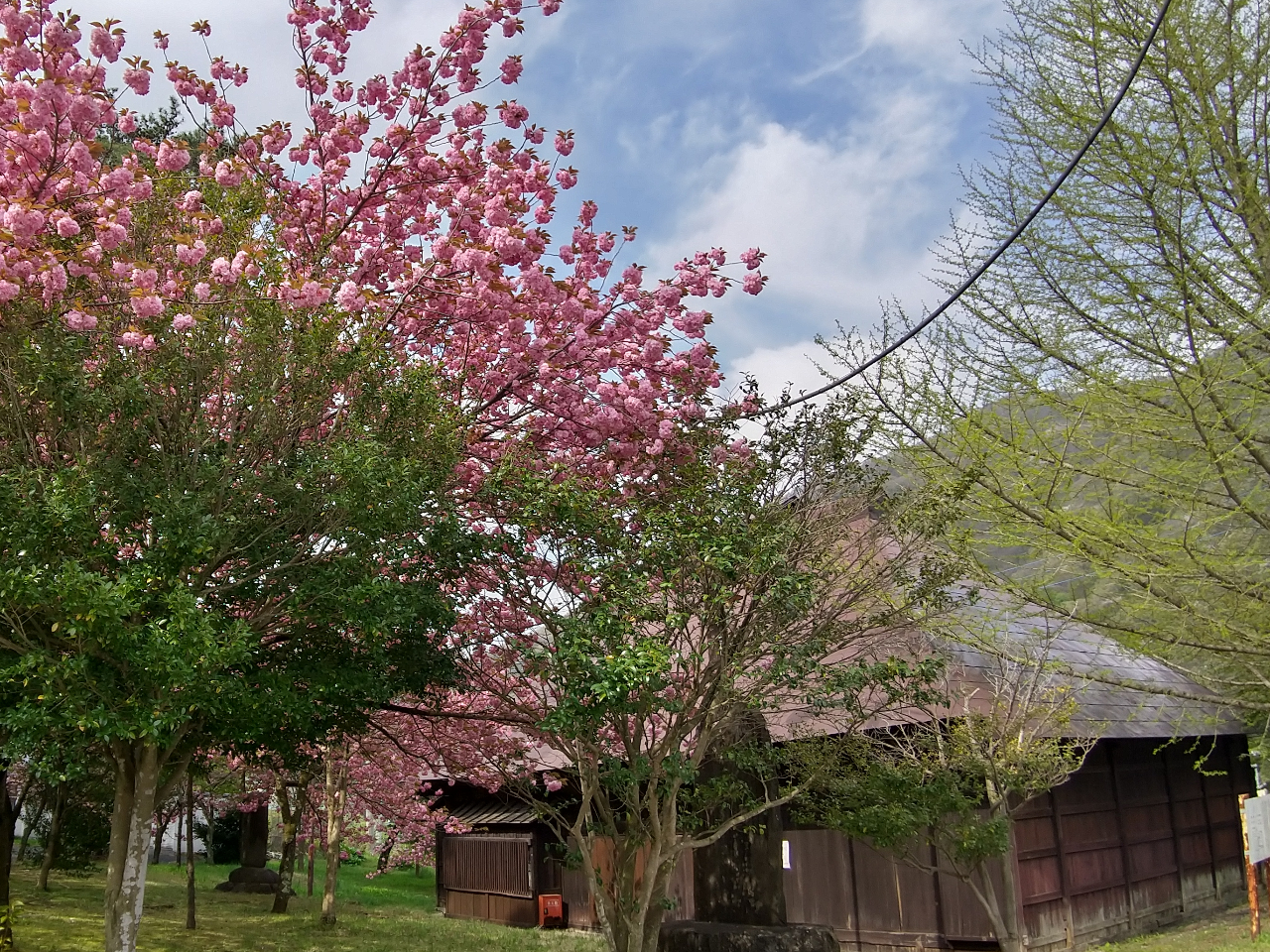 鬼怒川公園内にある「仲附の旅籠(なかつけのはたご)」。ツアーでは外観のみをご覧いただきます。
