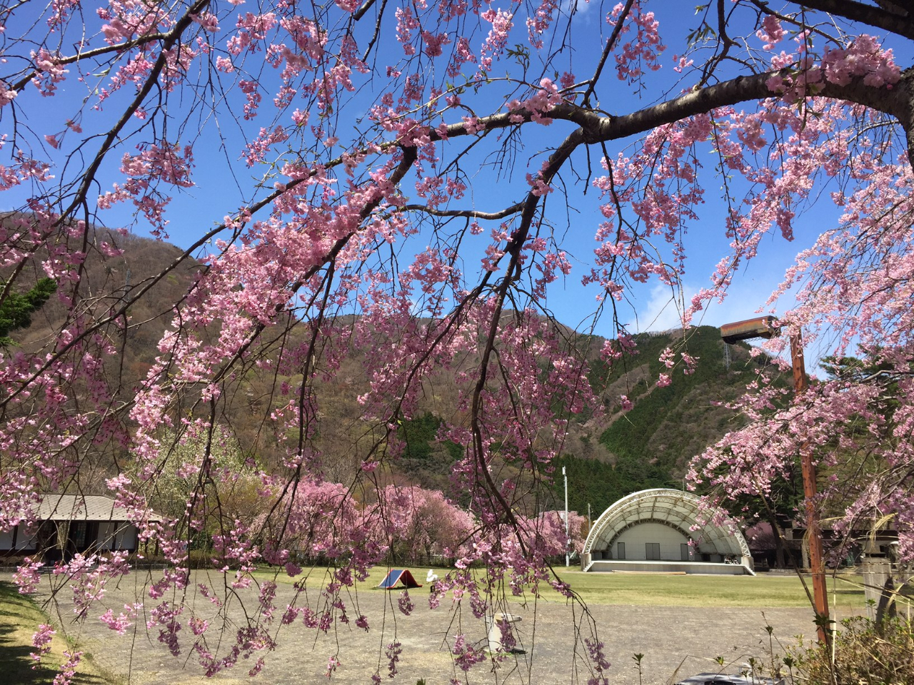 鬼怒川公園は、桜の名所でもある駅近の公園です。