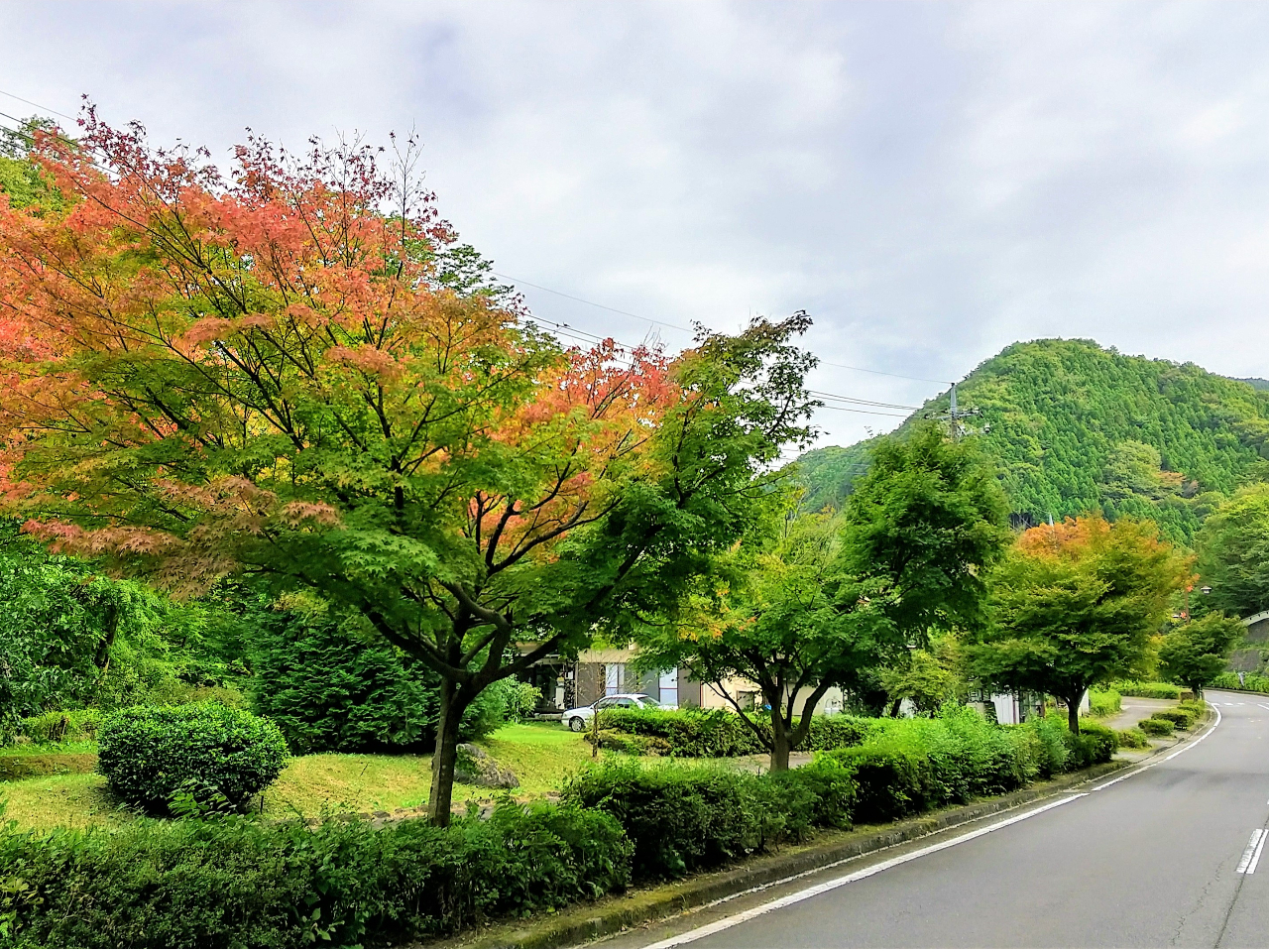 当コースは、最後に鬼怒川戊辰街道を進みます。