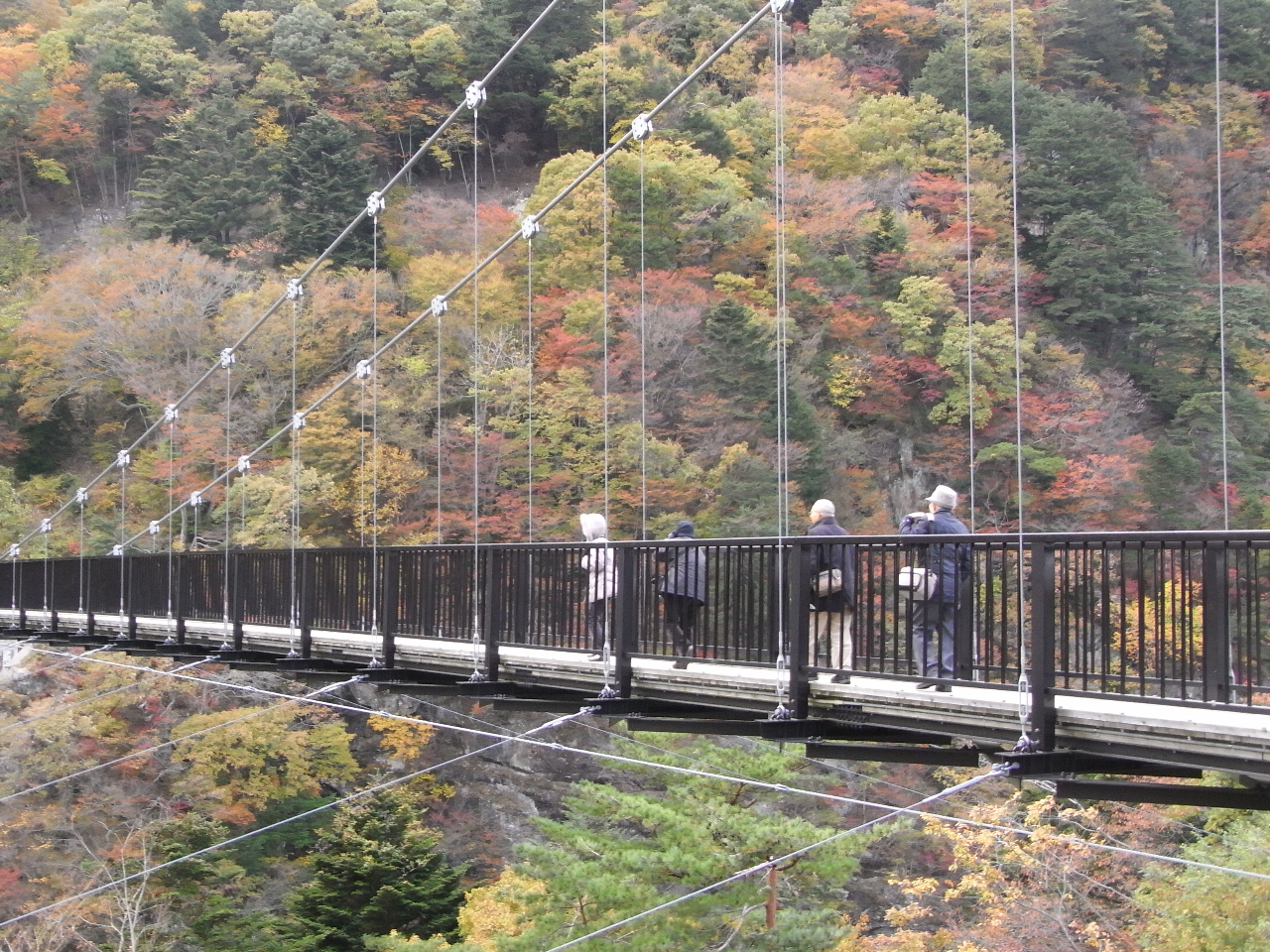 鬼怒楯岩大吊橋・あなたは揺れに耐えられる?