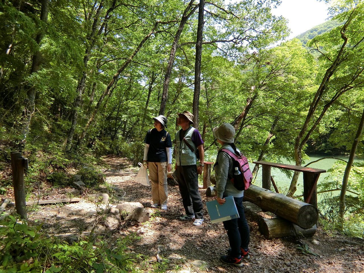 R̒܂BƂnCLǑiʐ^͐iiR[Xj