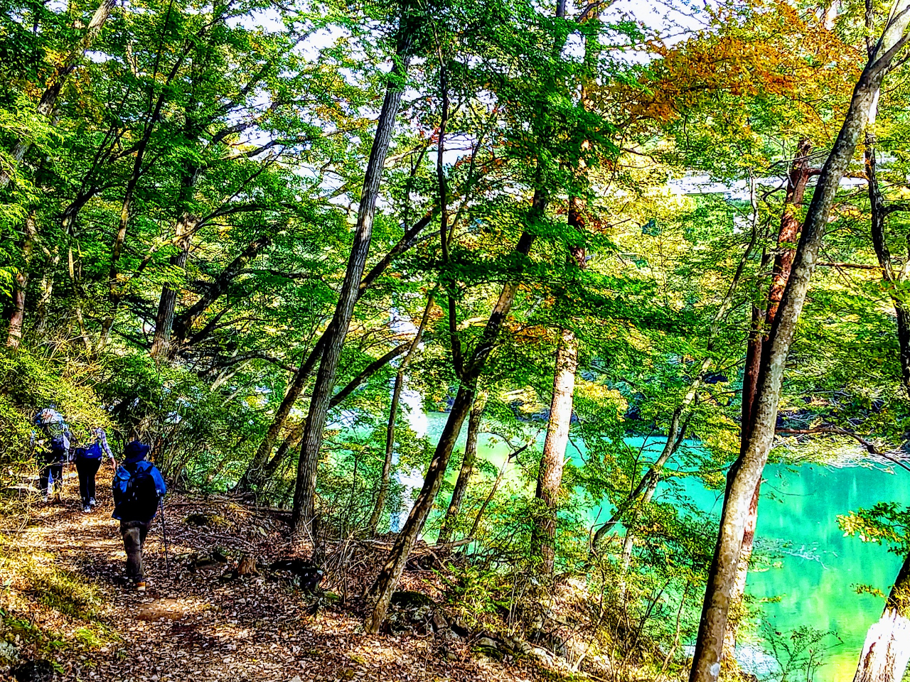 絶景満喫コースでは小網ダム付近を散策