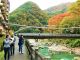 川治温泉の紅葉の時期は10月下旬から11月中旬ごろです