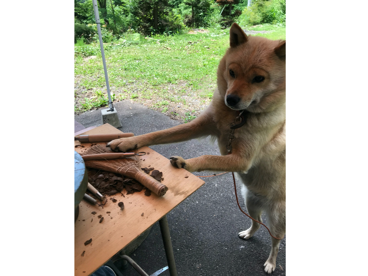 ̊Ŕu܂vłB񂿂ȕΘAĂ܂̂ŁA\tB