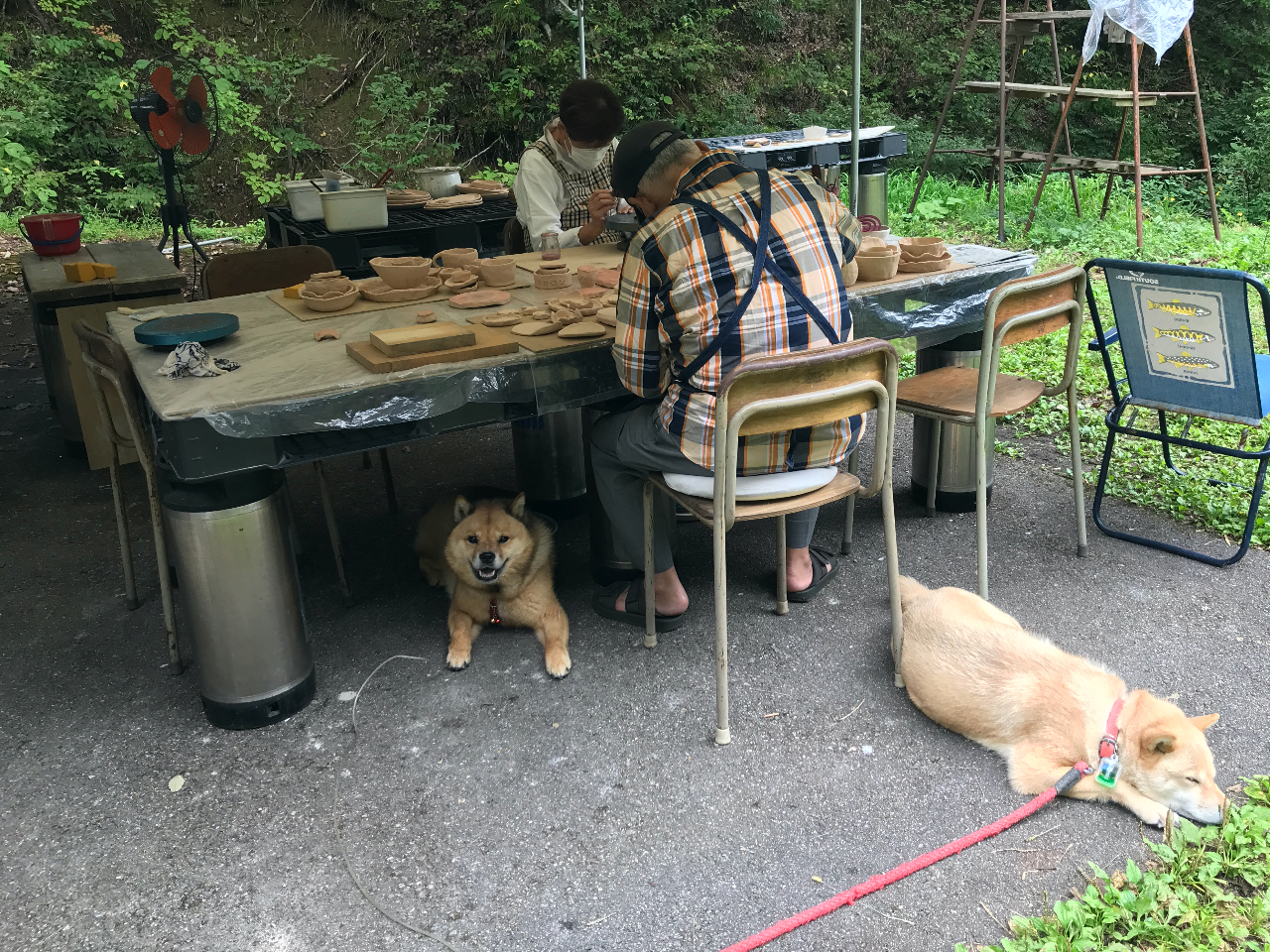 񂿂񓯔劽}I傳̂΂łł