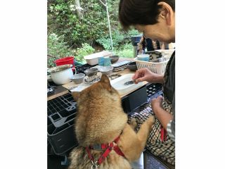 ママ何してるの?わんちゃんも気になる気になる♪