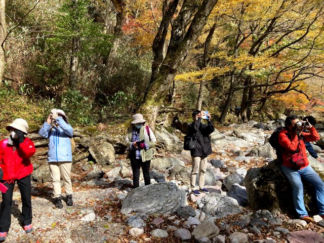 紅葉の季節の吟行の様子