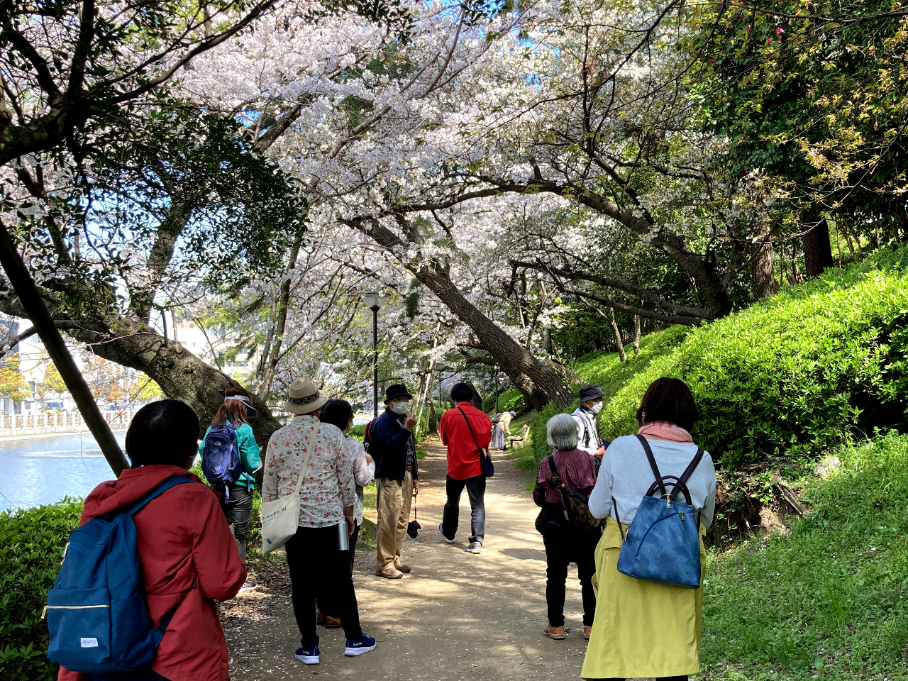 堀之内公園の桜吟行