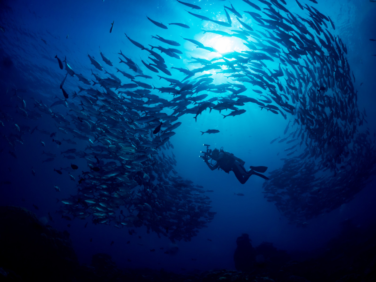 Ct΃MKAW̃gl[hɈ͂܂