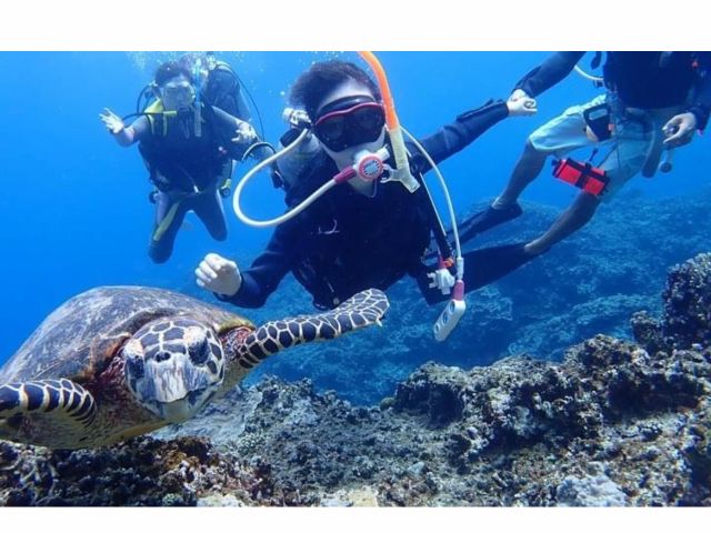手を取り合ってのお姫様ダイブ