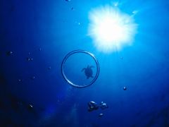 バブルリング出来るかな〜