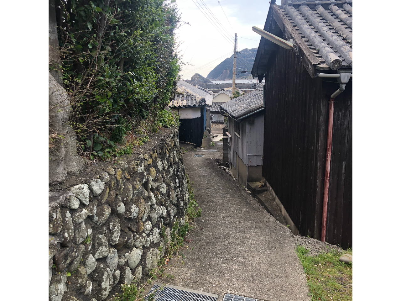 ÖƂԏH𔲂ĎUĂ܂BƐÂȎԂ߂܂B