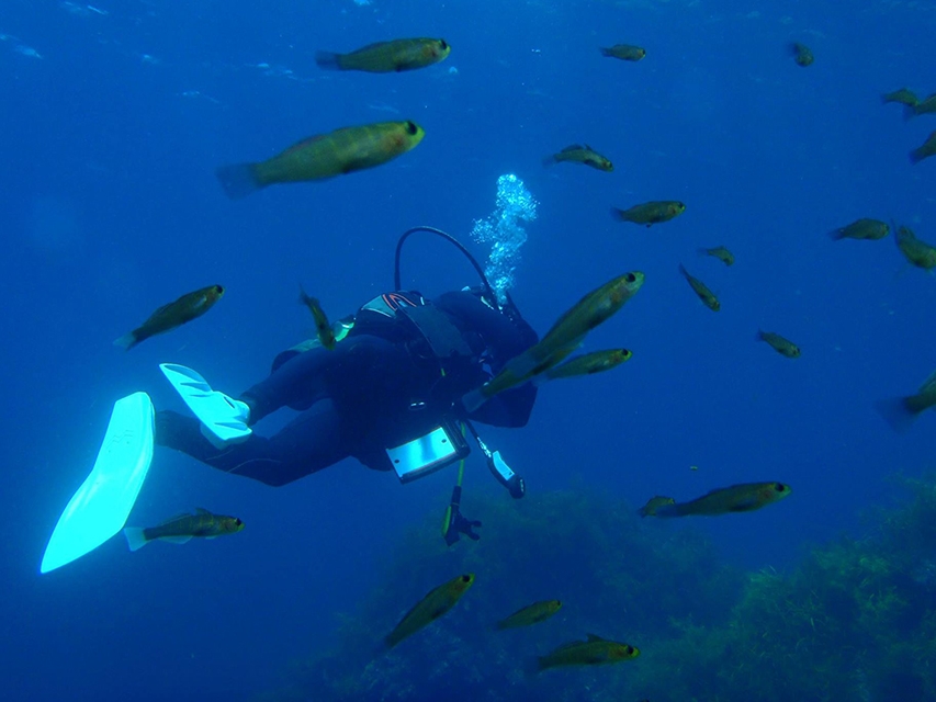 【じゃらん限定】初心者向き!平日プラン☆1日体験ダイビング_海中散歩ともう1ダイ...