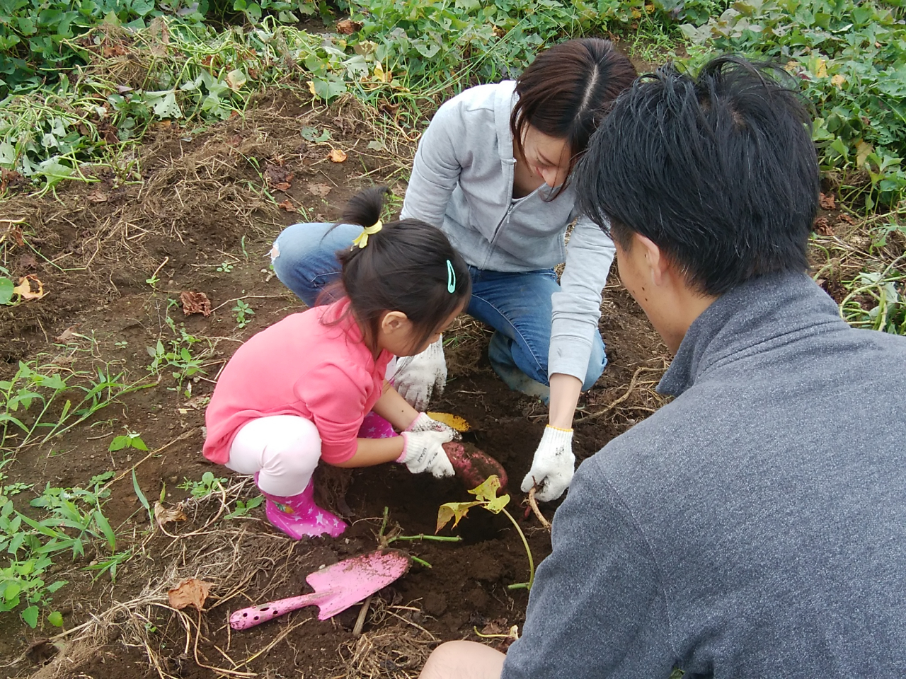 【埼玉×農業体験】農作業・収穫体験!畑作り・家庭菜園のコツなど相談も歓迎♪<坂戸...