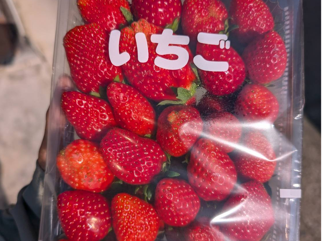 1-2月》＼60分の石垣いちご狩り！／こだわりの2品種をご用意しており