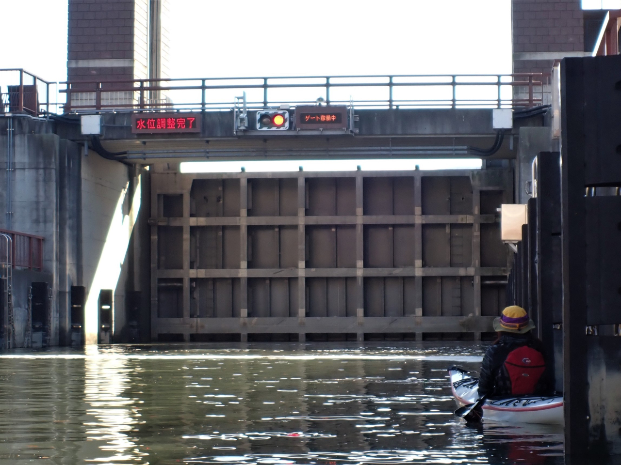 ʒB̔Αƍő3.1̐ʍ܂B