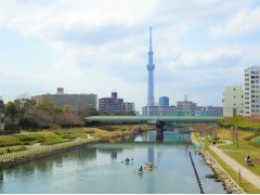 スカイツリーを目指していきます。