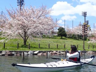 カヤックから東京のお花見を楽しもう!