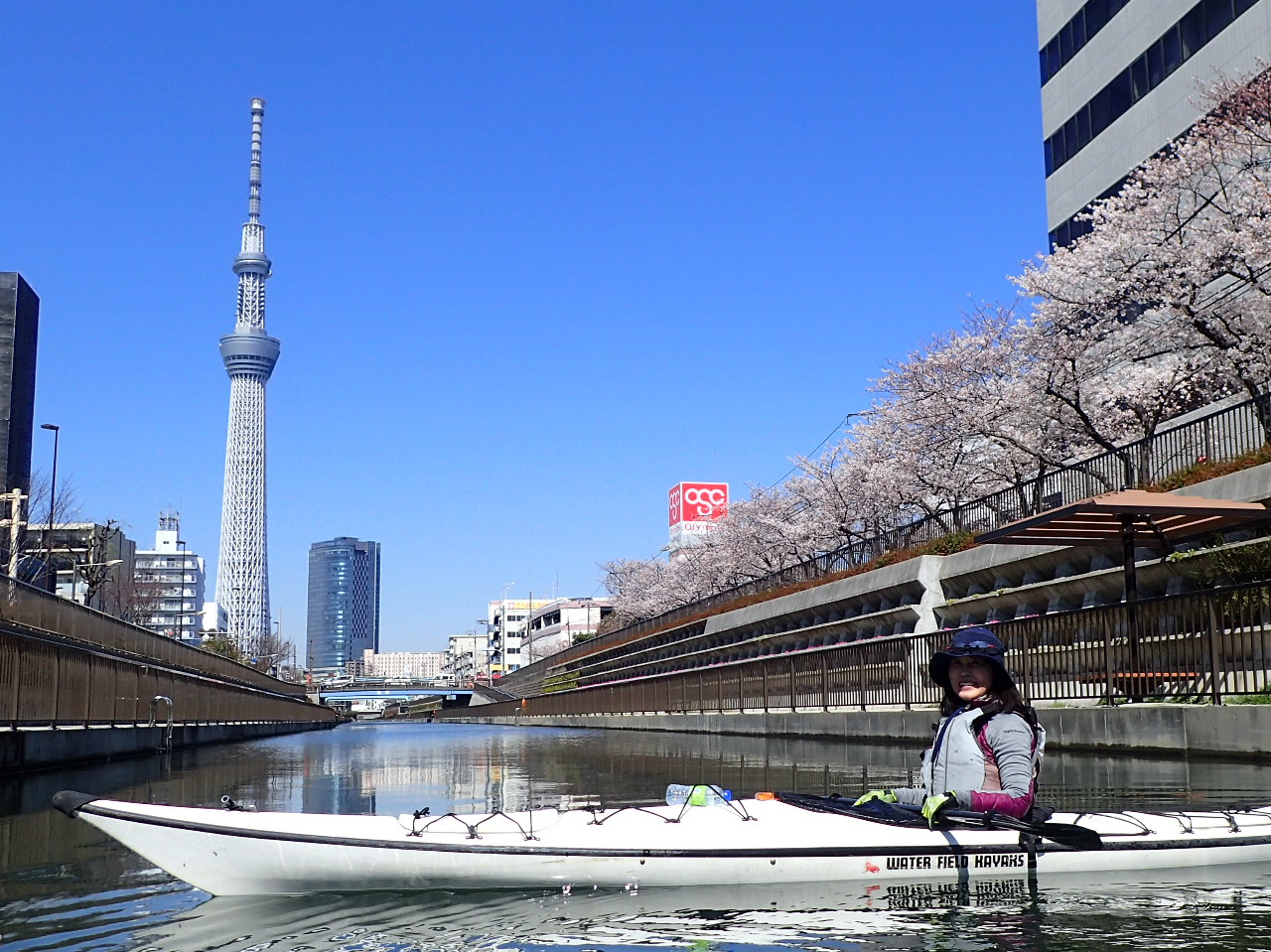 �X�J�C�c���[�ƍ��̃r���[�X�|�b�g�I