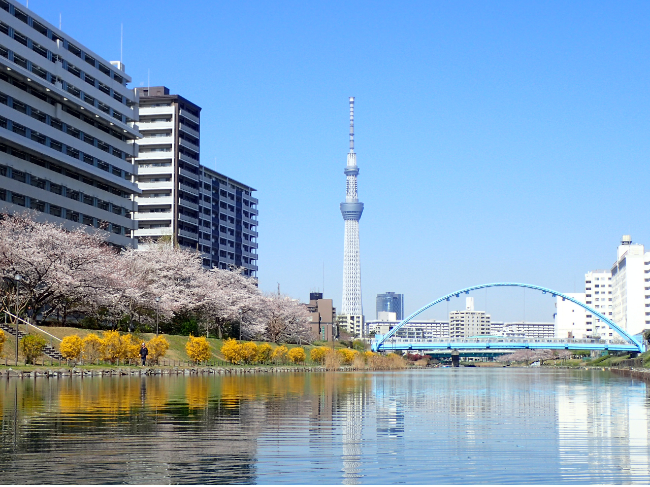 �삩�猩����ƃX�J�C�c���[�̌i�F�́A���ʂ̂��Ԍ��Ƃ͈�����y���ݕ�������܂��B