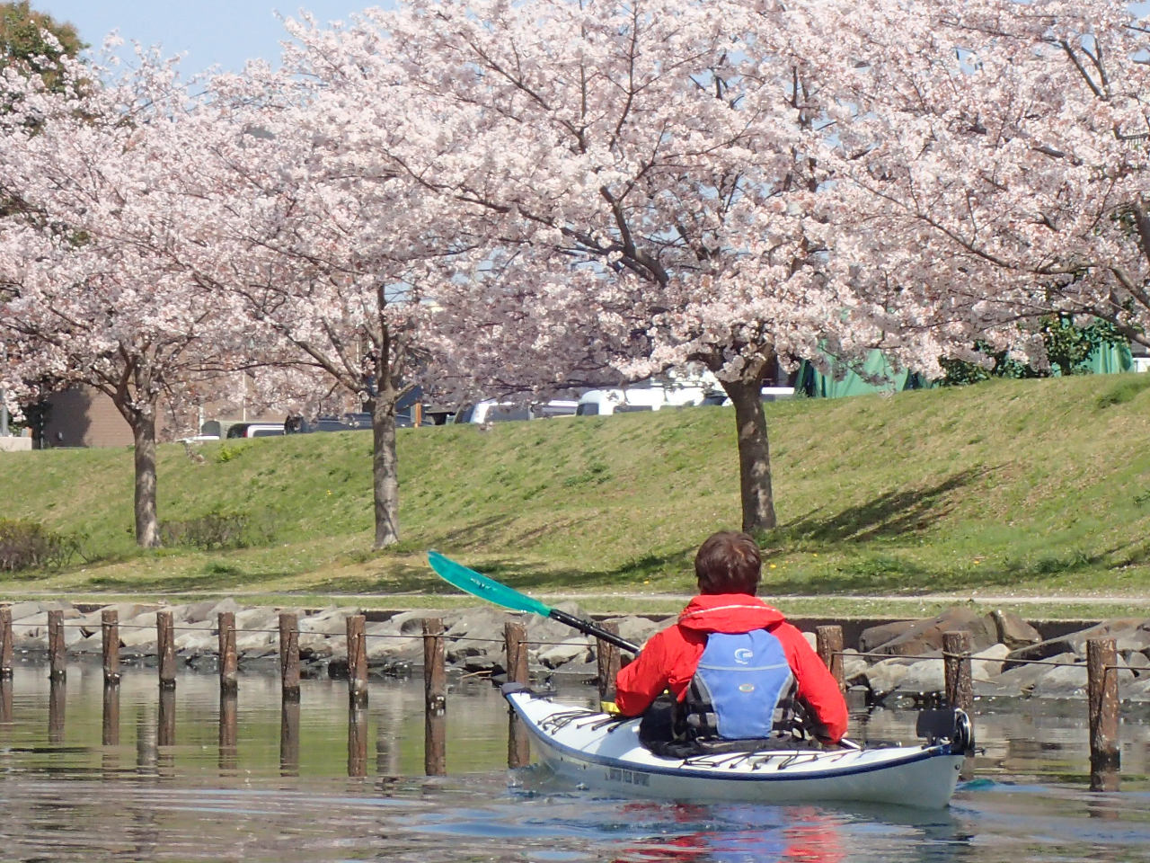 �����s�S�Ŗ�������Ă��Ԍ��ł���̂͐��̏ゾ���ł��I