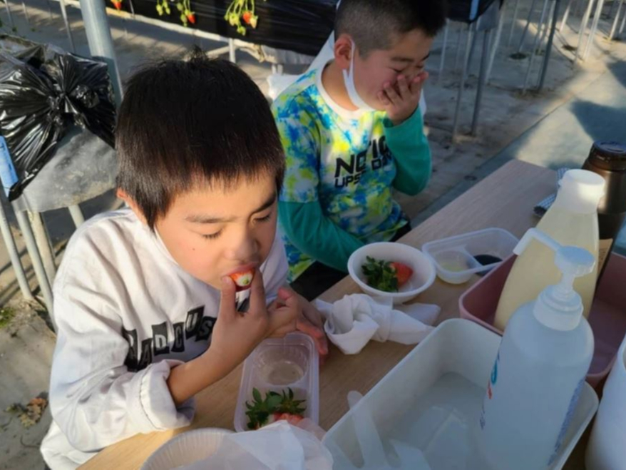 �����͖����ł����p���������܂��B�e�[�u�����ƂɎ�w���ŗp�̃A���R�[�����